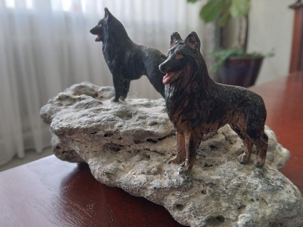 Tervuerense herder / groenendaeler, Ophalen of Verzenden, Zo goed als nieuw, Honden, Onbekend
