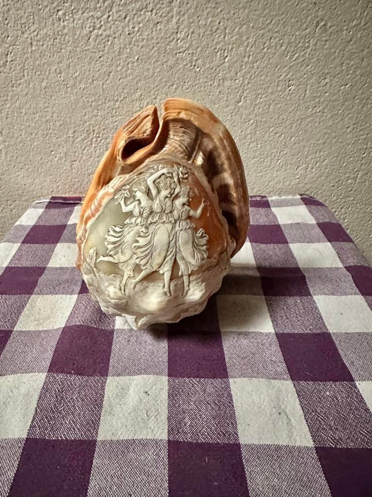 Camee schelp (om lamp van te maken), Antiek en Kunst, Ophalen of Verzenden