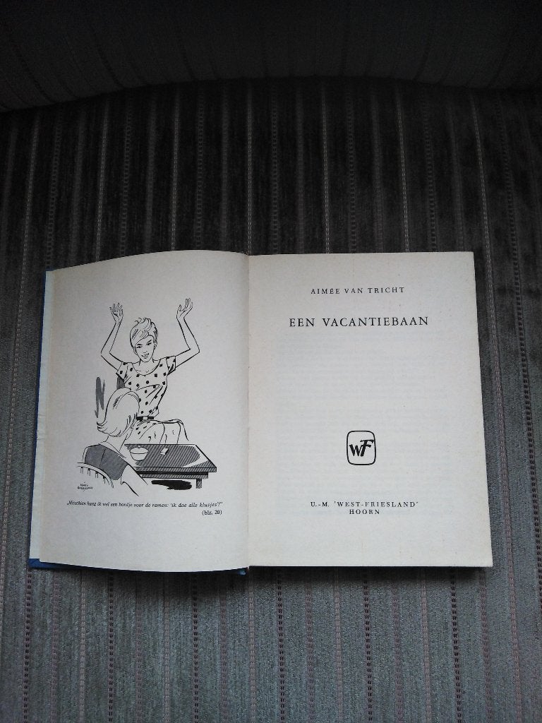 Boek - Een vacantiebaan - Aimée van Tricht, Gelezen, Aimée van Tricht, Ophalen of Verzenden, Fictie