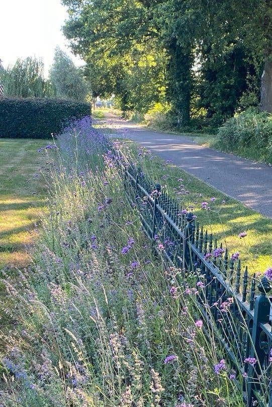 Ijzeren tuinhek 50 meter, Ophalen, Met poort, Gebruikt, Sierhekwerk
