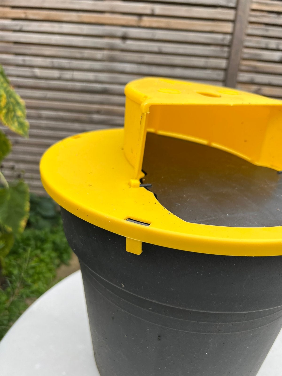 Tuin Keuken 🐭 MUIZENVAL Diervriendelijk 🧀 Vangkooi Kantoor, Dieren en Toebehoren, Knaagdieren en Konijnen | Hokken en Kooien