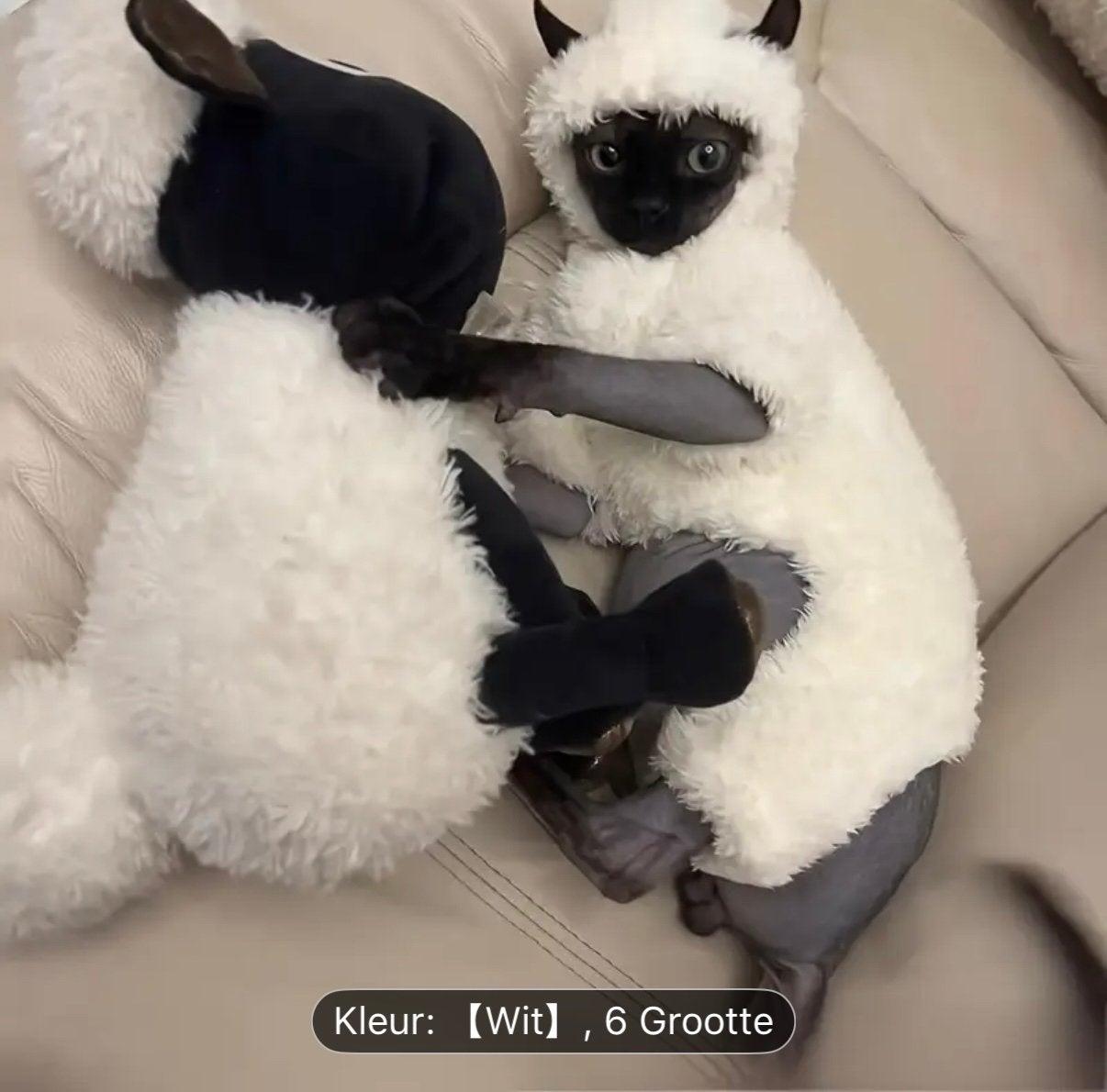 Verkleedpakje kat of kleine hond, Ophalen of Verzenden, Zo goed als nieuw, Hondenkostuum