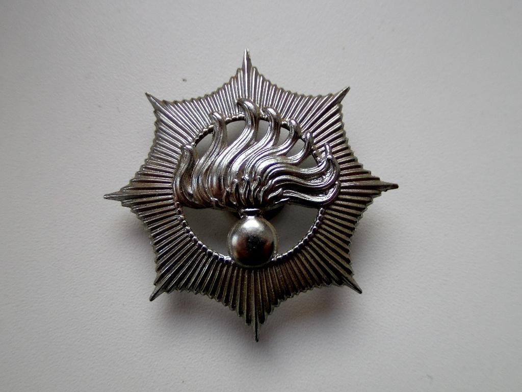 Vervallen petembleem Rijkspolitie, Verzenden, Overige soorten, Nederland, Embleem of Badge