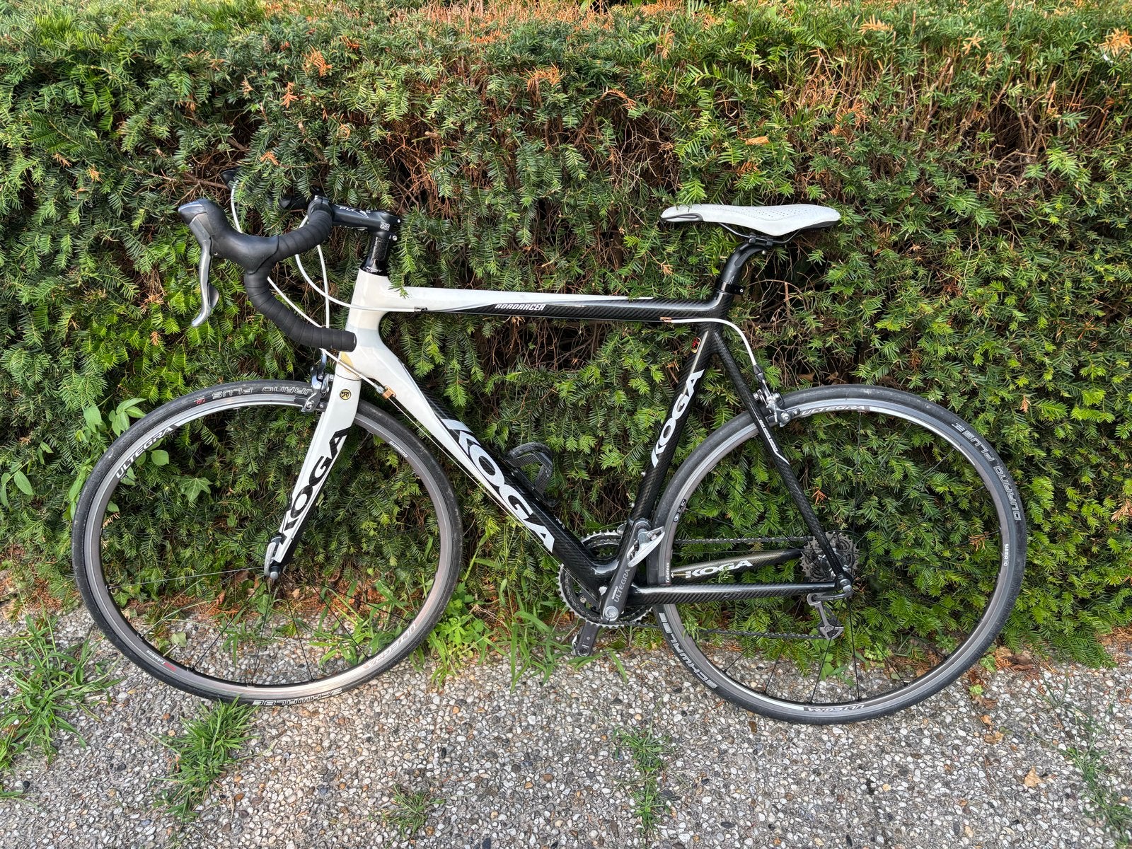 Koga volledig carbon racefiets maat 58 – Shimano Ultegra, Ophalen, 28 inch, Carbon, Heren