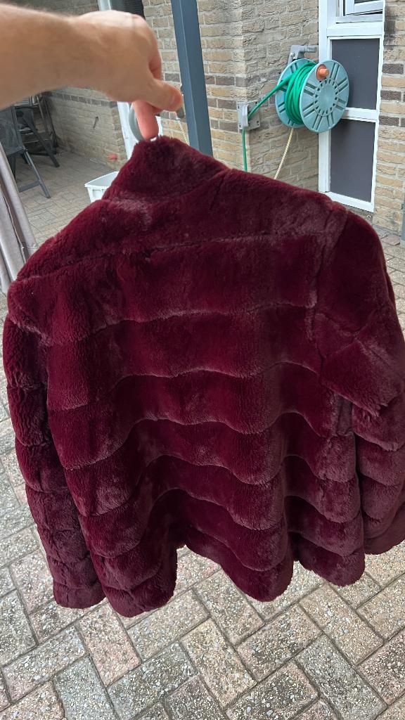 Ralph Lauren bordeaux/paarse jas XS - nieuw, nooit gedragen, Kleding | Dames, Jassen | Winter, Paars, Nieuw, Ophalen of Verzenden