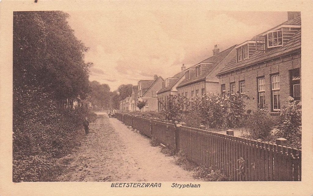 703-123-023 Beetsterzwaag Strypelaan, Ophalen of Verzenden, Voor 1920, Friesland