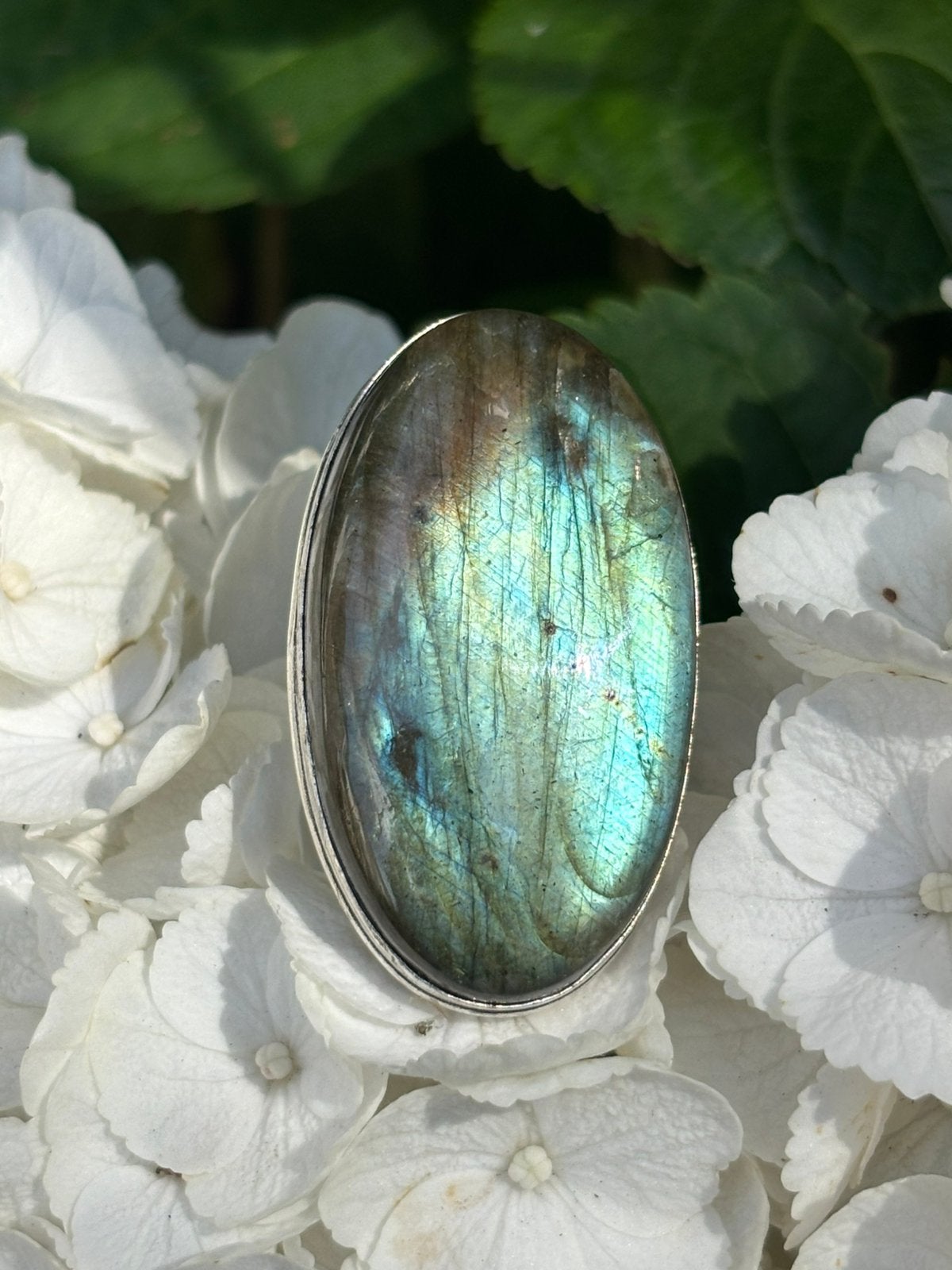 Prachtige Labradoriet Ring - Maat 19, Sieraden, Tassen en Uiterlijk, Ringen, Overige materialen, Blauw, 19 tot 20, Nieuw