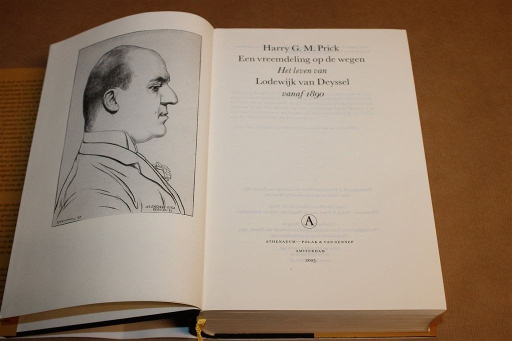 Vreemdeling op de Wegen — Van Deyssel Biografie 1890-1952, Boeken, Ophalen of Verzenden, Gelezen