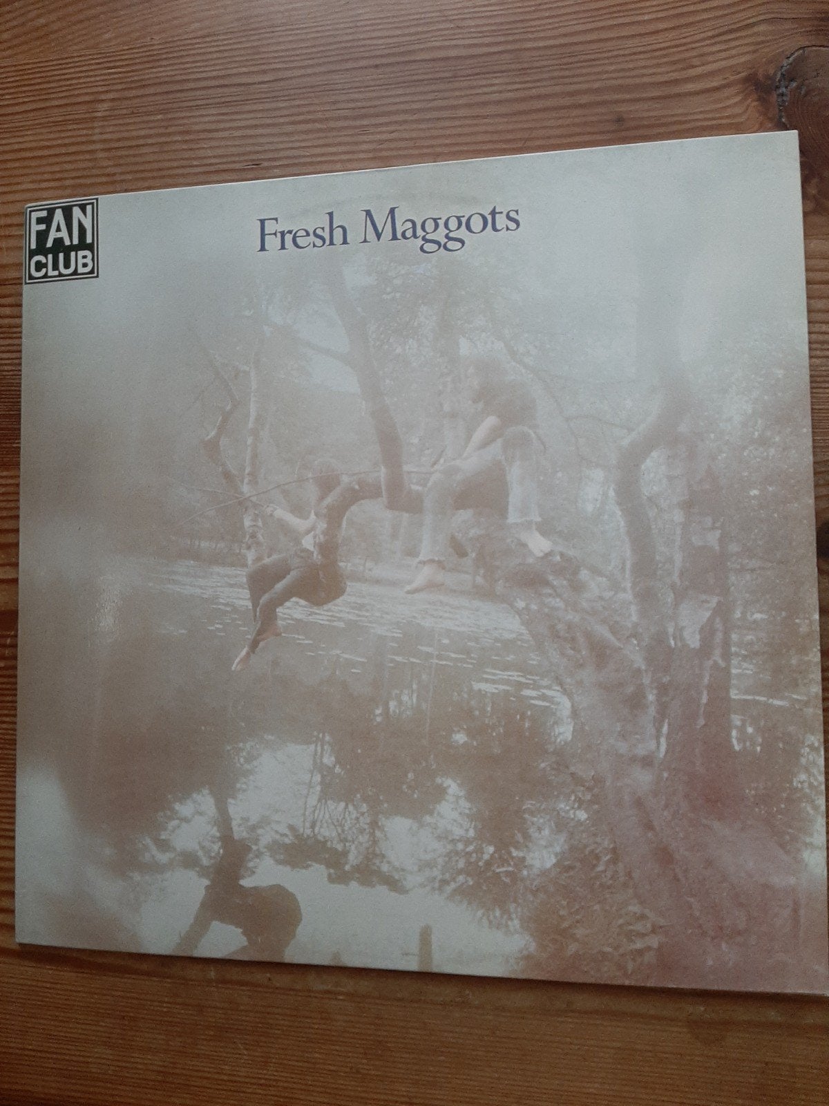 Fresh Maggots n.o., Ophalen of Verzenden, Zo goed als nieuw, 12 inch