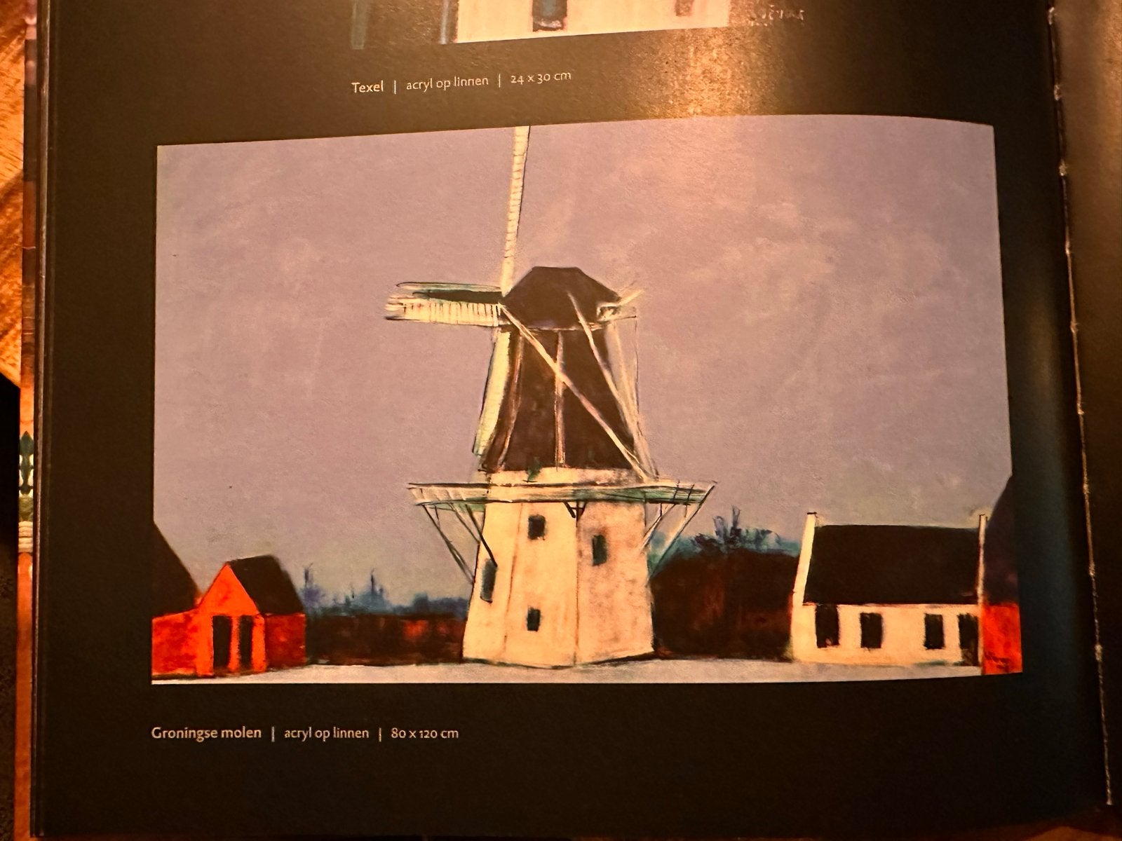 Maya Wildevuur - Groningse Molen (2010) incl. boek, Ophalen, Gedateerd, Expressionistisch, Landschap