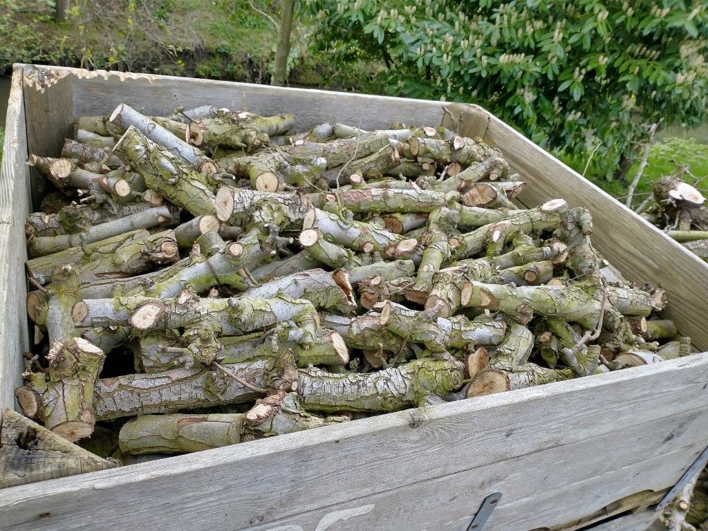 haardhout voor 0pen haard, kachel of vuurkorf ( perenhout), Tuin en Terras, Haardhout, 6 m³ of meer, Ophalen, Overige houtsoorten