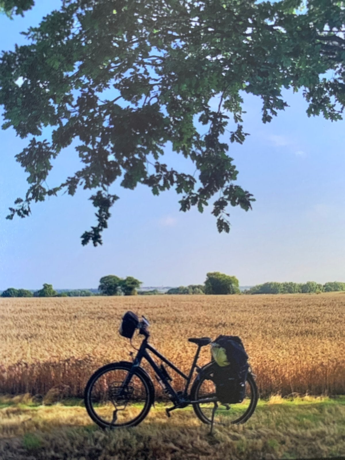 Koga Worldtraveler Trekkingfiets - Avontuurlijk stoer, 53 tot 56 cm, Zo goed als nieuw, Meer dan 20 versnellingen, Ophalen
