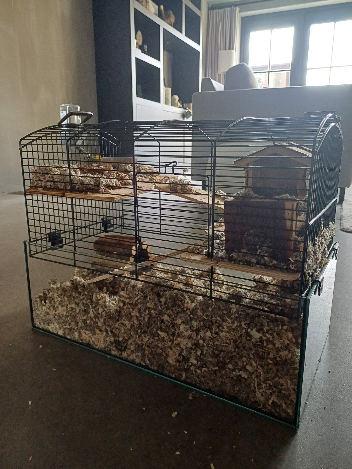 Knaagdier hok voor kleine knaagdieren zoals hamster hamster, Minder dan 75 cm, Rat, Hok, Ophalen