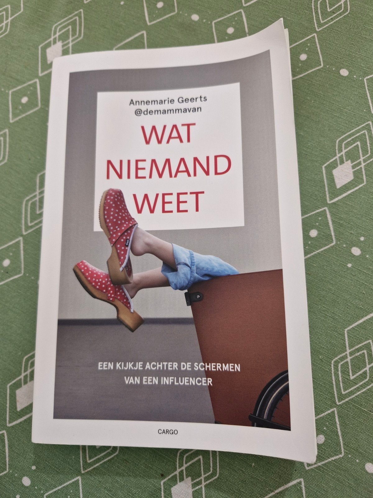 Annemarie Geerts - Wat niemand weet, Ophalen of Verzenden, Zo goed als nieuw, Mode algemeen, Annemarie Geerts