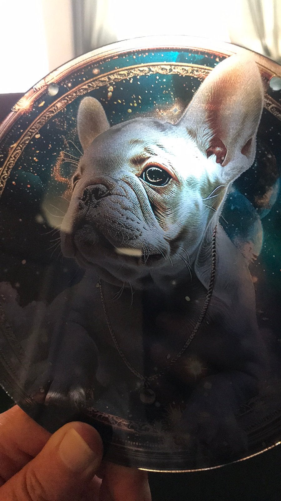 Raamhanger zonnevanger Franse bulldog, Ophalen of Verzenden, Zo goed als nieuw, Opgezet dier