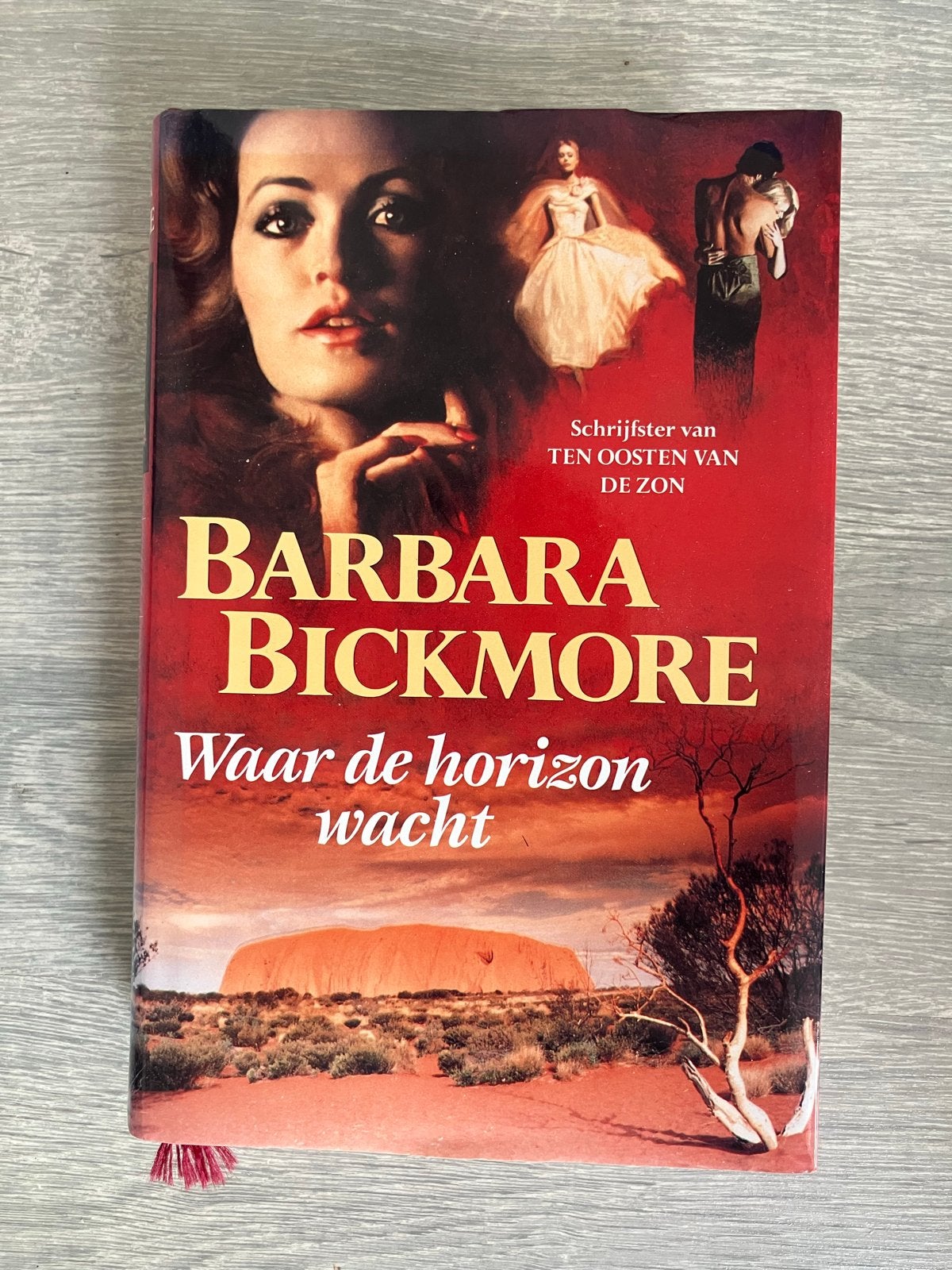 Barbara Bickmore - Waar de horizon wacht (roman), Boeken, Ophalen of Verzenden, Gelezen, Europa overig