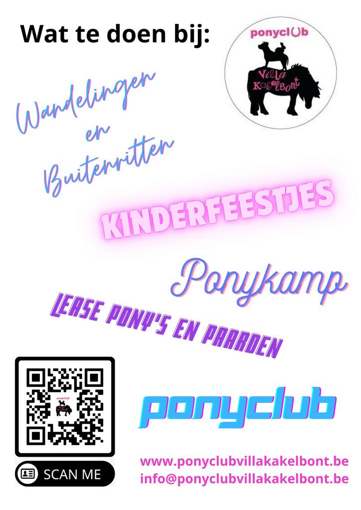 Ponyclub, verzorgpaard, verzorgpony, lease pony, halve stal.
