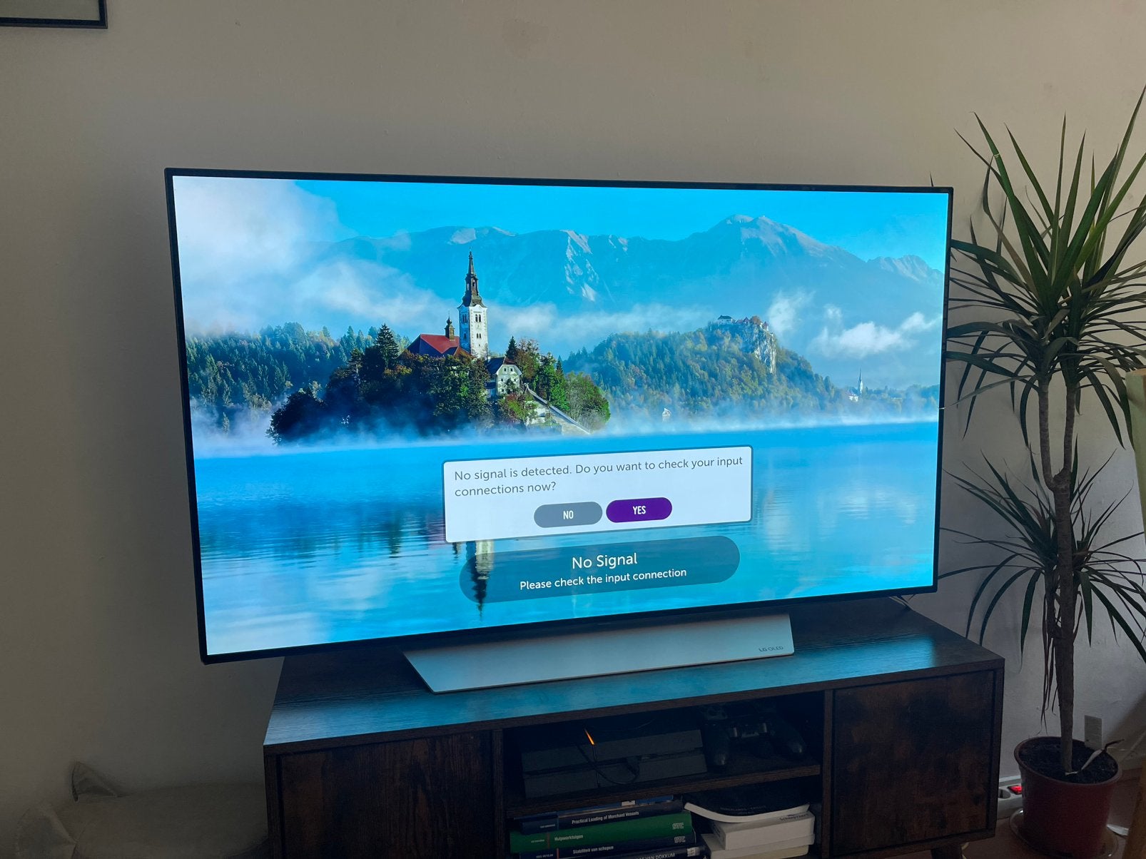 LG OLED 55 inch 4k TV, 120 Hz, Ophalen of Verzenden, Zo goed als nieuw, 100 cm of meer