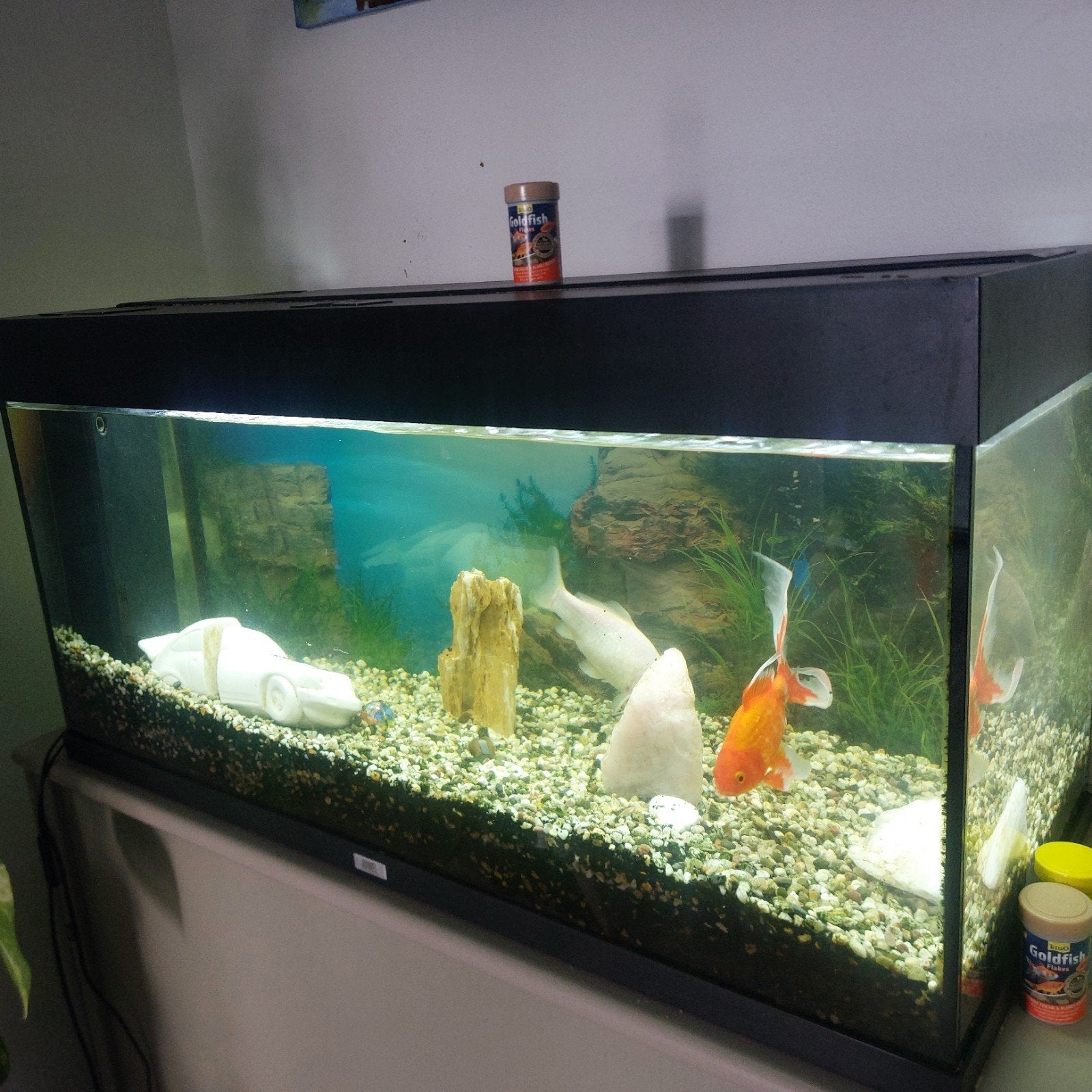 Aquarium met vissen merk Juwel, Dieren en Toebehoren, Ophalen, Gebruikt, Overige typen, Juwel