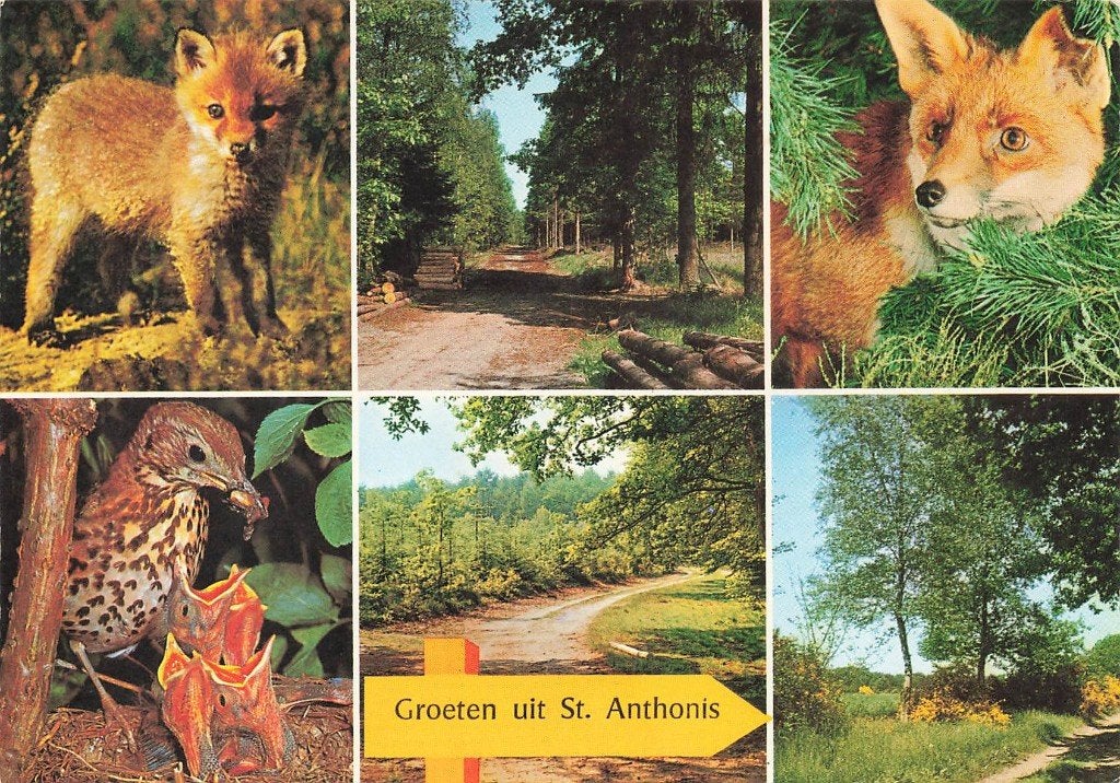 Groeten uit St. Anthonis, Ophalen of Verzenden, 1960 tot 1980, Gelopen, Noord-Brabant