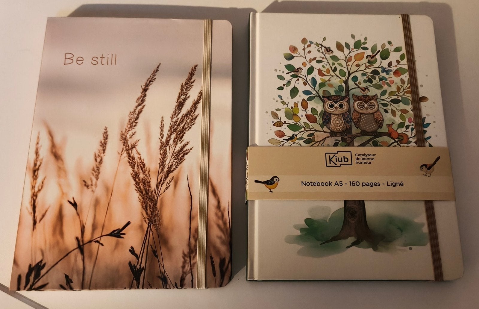 Verschillende notitieboeken, Ophalen of Verzenden, Nieuw, A5