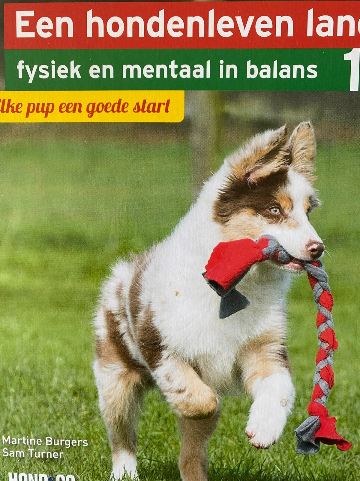 Een hondenleven lang: fysiek en mentaal in balans, Ophalen, Gelezen, Honden
