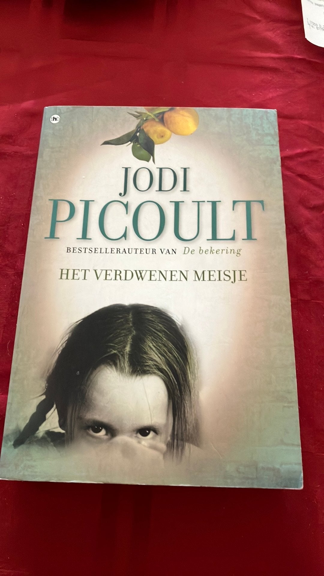 Jodi Picoult Het verdwenen Meisje, Ophalen, Zo goed als nieuw