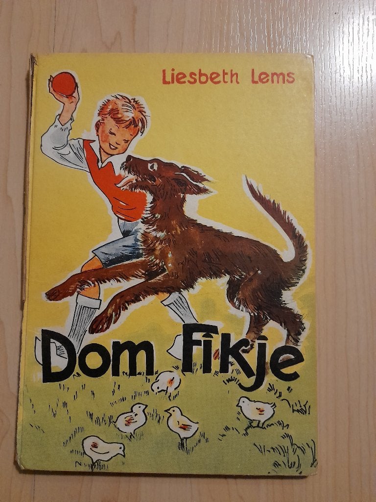 DOM FIKJE door Liesbeth Lems, Boeken, Ophalen of Verzenden, Gelezen, Fictie algemeen