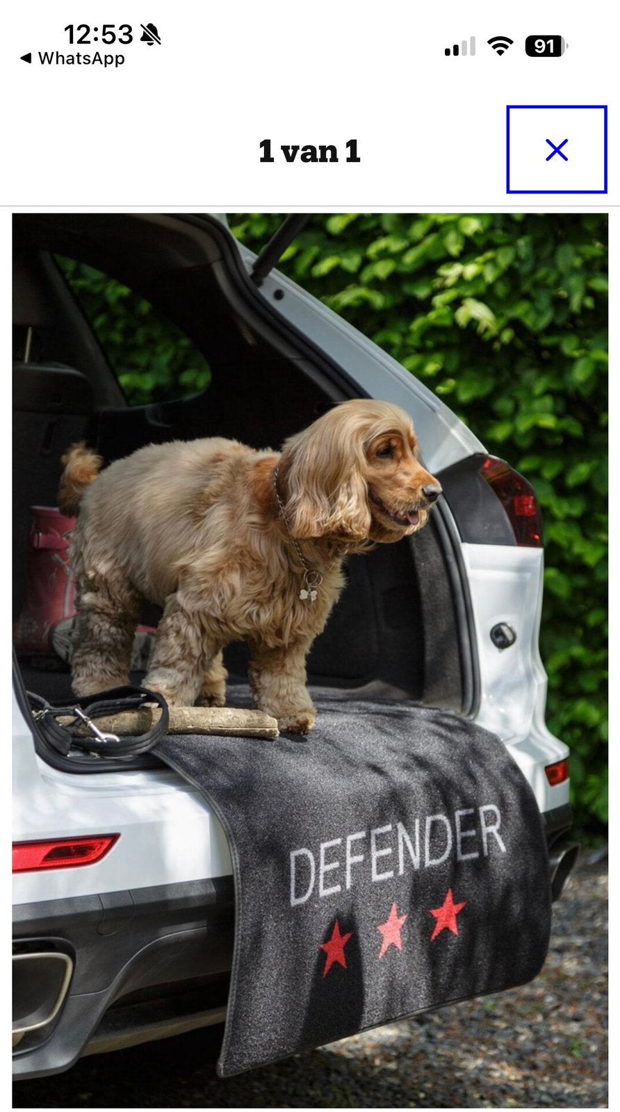 Automat/ droogloopmat voor honden. NIEUW!, Ophalen of Verzenden, Nieuw