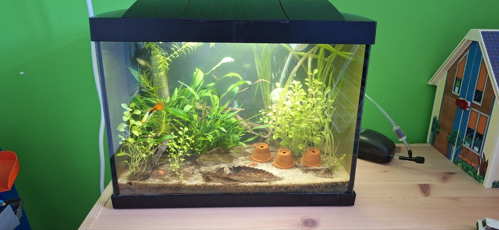 Compleet 20L aquarium met Led, Ophalen, Zo goed als nieuw, Gevuld zoetwateraquarium