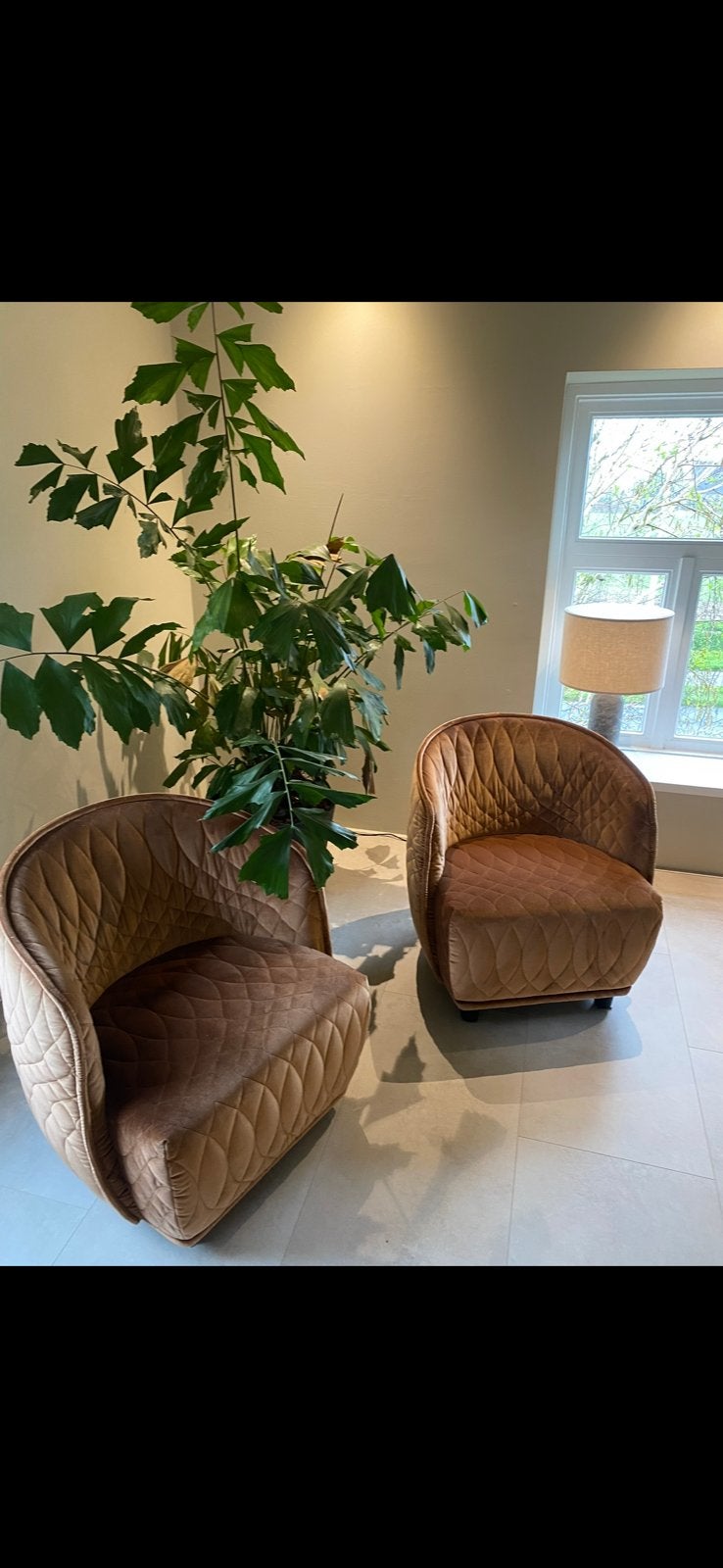 Moroso redondo small, Ophalen, Nieuw, 50 tot 75 cm