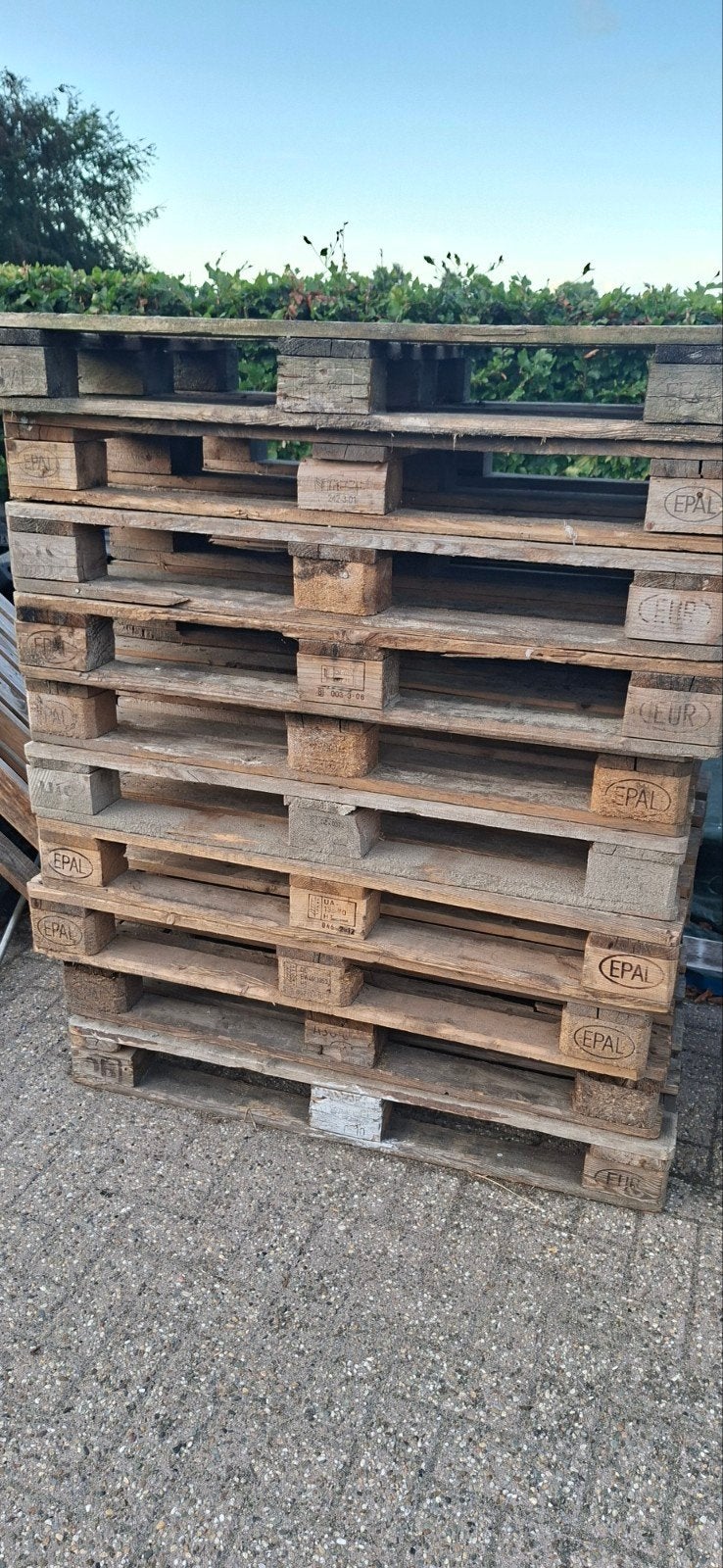 10 x euro pallets, Doe-het-zelf en Verbouw, Hout en Planken, Ophalen, Minder dan 25 mm, Pallet, Minder dan 200 cm