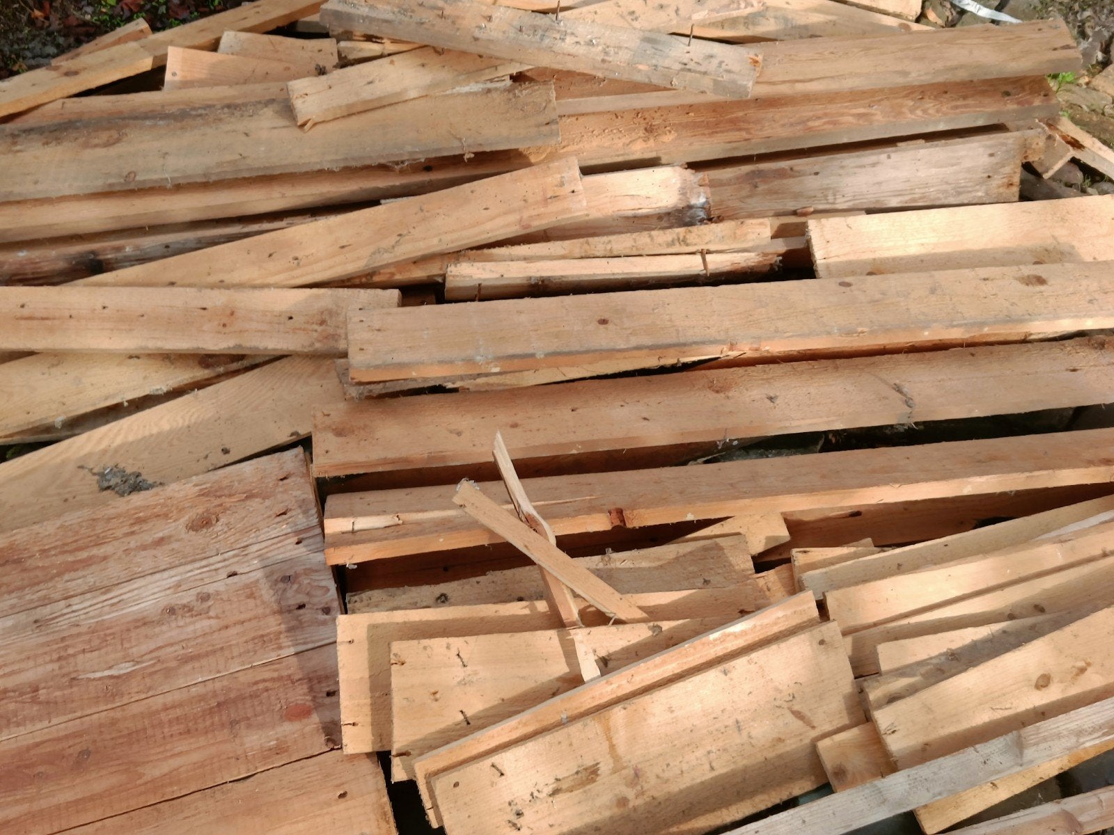 Gratis stookhout haardhout: onbehandeld en droog, Minder dan 3 m³, Ophalen, Overige houtsoorten, Blokken