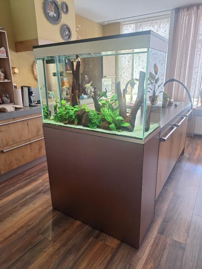 Mooi Aquarium op maat te koop!!, Dieren en Toebehoren, Ophalen, Overige merken, Inclusief vissen, Gevuld zoetwateraquarium