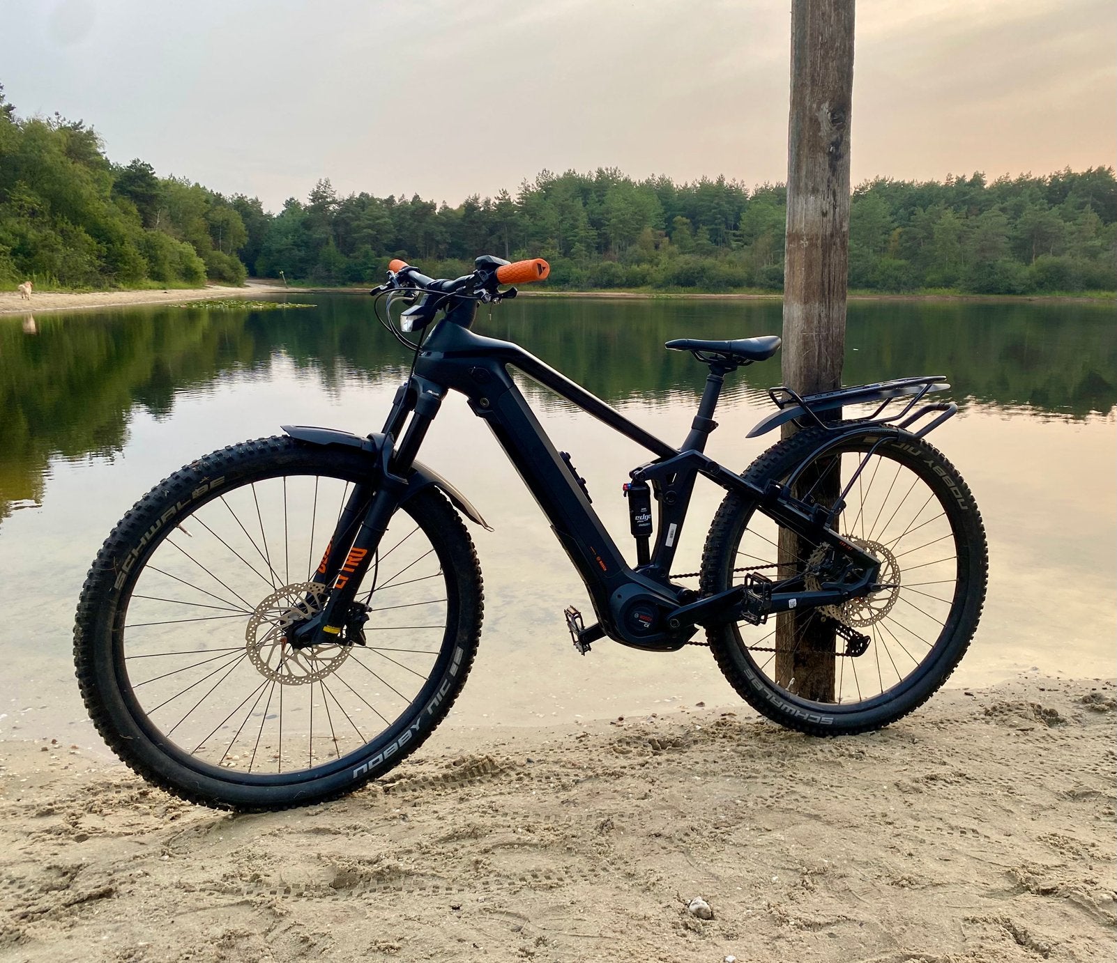 Elektrische mountainbike Bulls Sonic Evo TR 2 carbon 44cm, Zo goed als nieuw, Minder dan 47 cm, 50 km per accu of meer, Ophalen