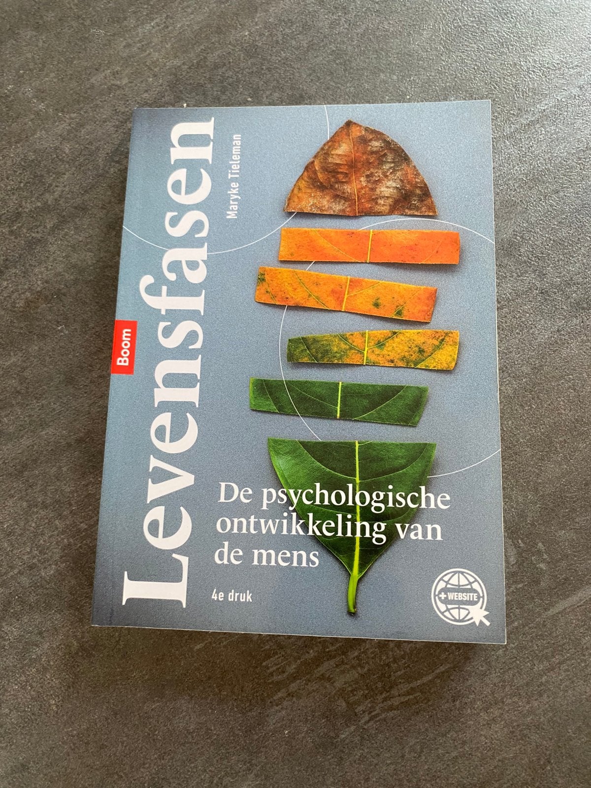 Mayke Tieleman - Levensfasen, Mayke Tieleman, Ophalen of Verzenden, Zo goed als nieuw, Nederlands