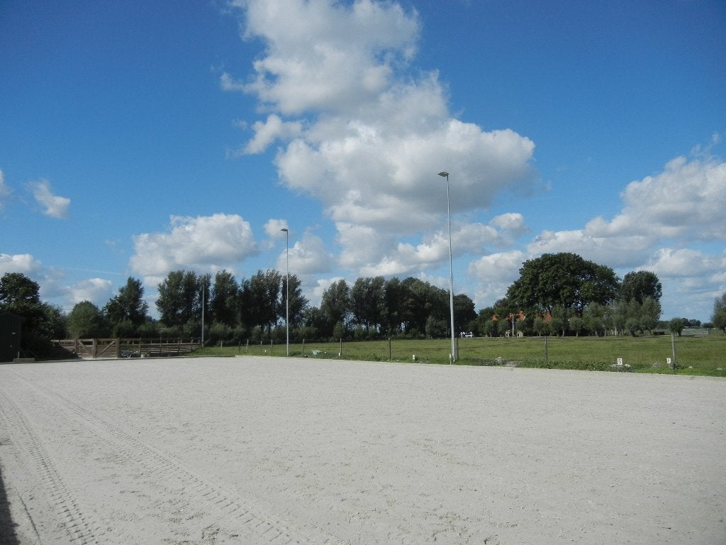 Uw paard zomer en winter naar buiten, Stalling, 1 paard of pony