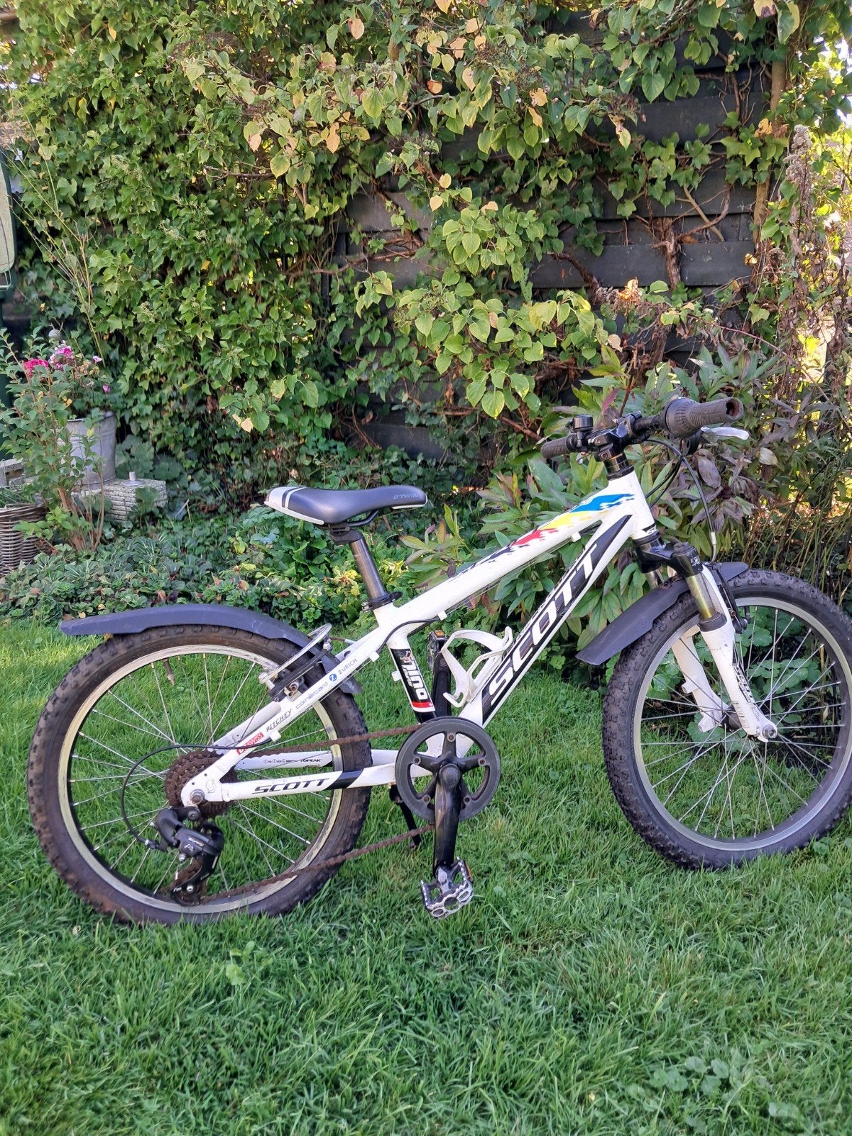 Scott crossfiets 20 inch, Fietsen en Brommers, Ophalen, Gebruikt, Staal, V-brakes