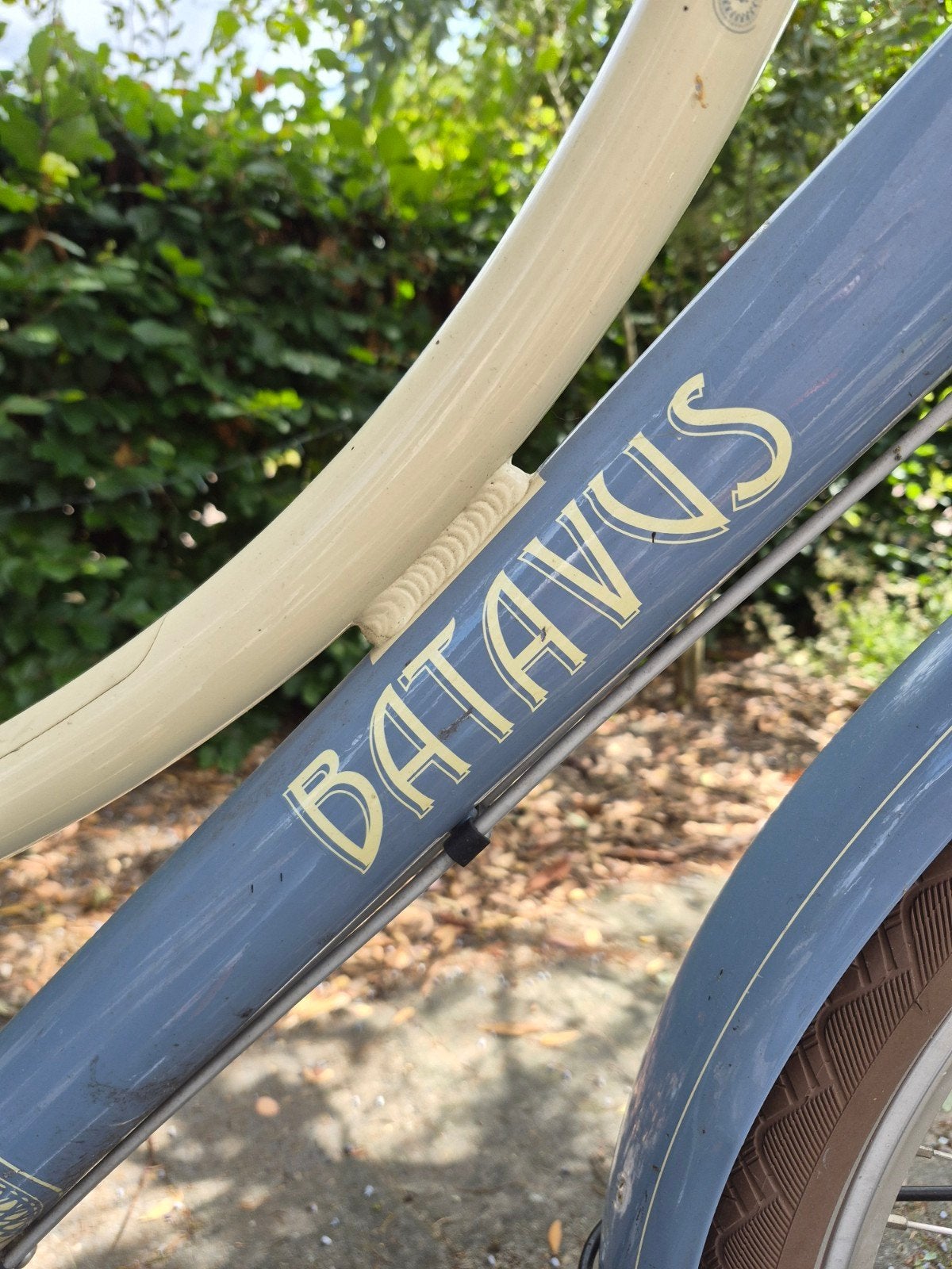 Damesfiets Batavus  - Nexus 7 - school - stadsfiets, Ophalen, Versnellingen, Batavus, 53 tot 56 cm