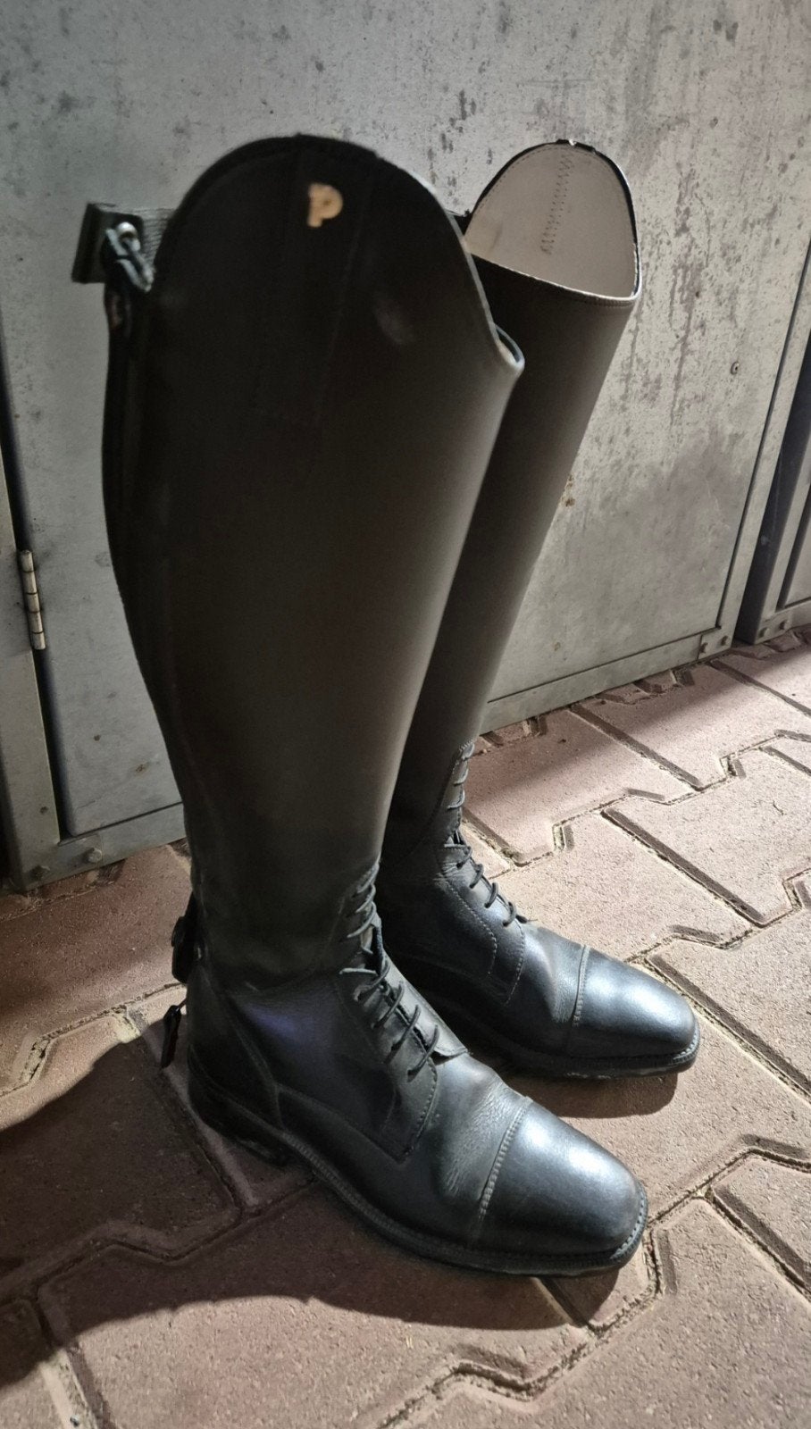 Petrie rijlaarzen, Ophalen of Verzenden, Zo goed als nieuw, Dressuur, Schoeisel