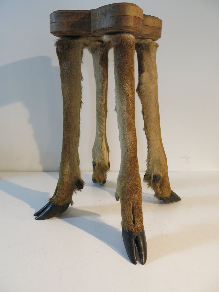 Taxidermie Kruk – Hertenpoten / Reeënhoeven – Vintage, Ophalen of Verzenden