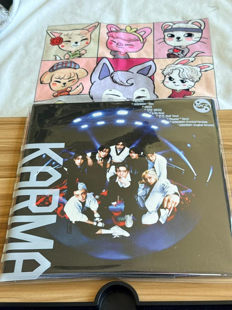 Stray Kids karma limited edition album, Ophalen of Verzenden, Zo goed als nieuw, Foto of Kaart