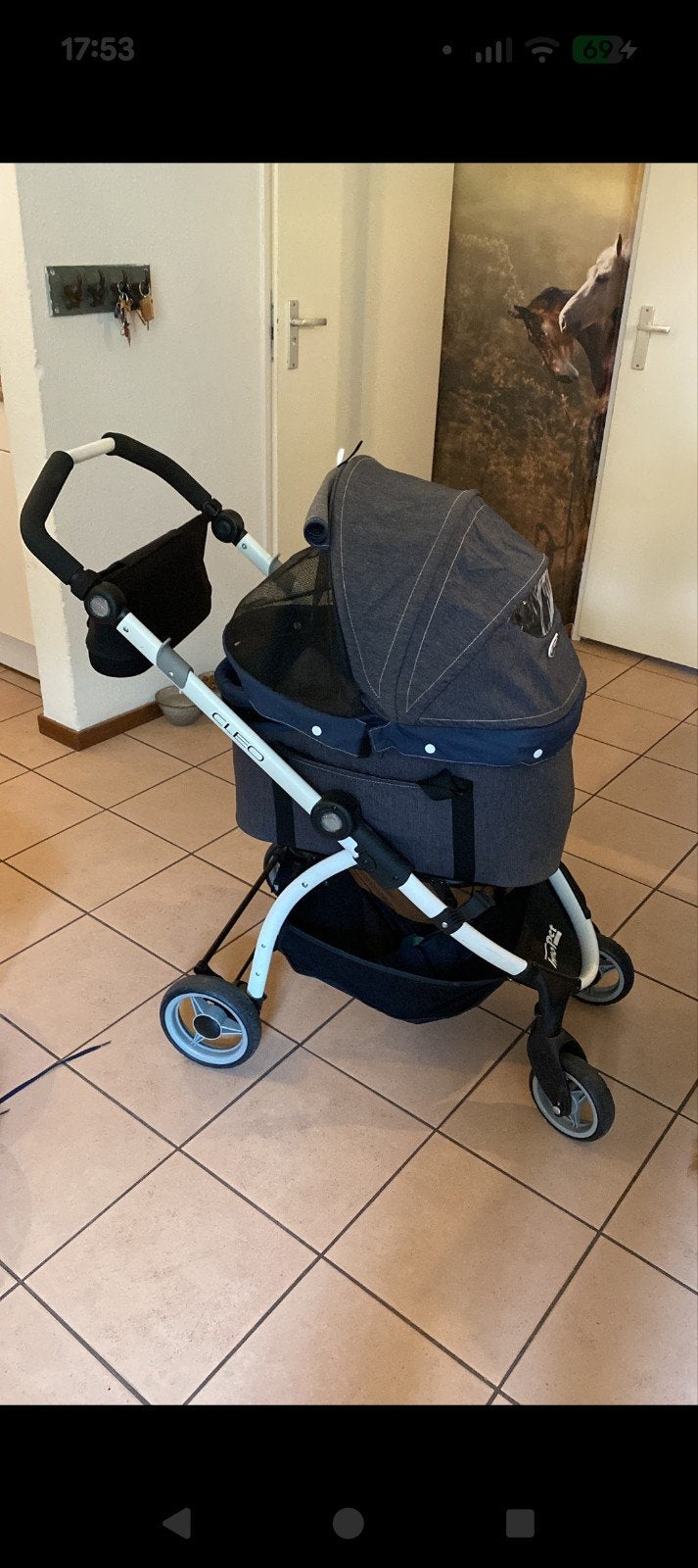 Honden wandelwagen, Dieren en Toebehoren, Honden-accessoires, Ophalen, Gebruikt, Hondenbuggy