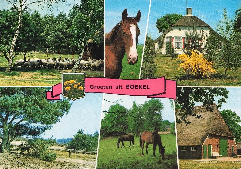 Groeten uit Boekel, Ophalen of Verzenden, 1980 tot heden, Ongelopen, Noord-Brabant