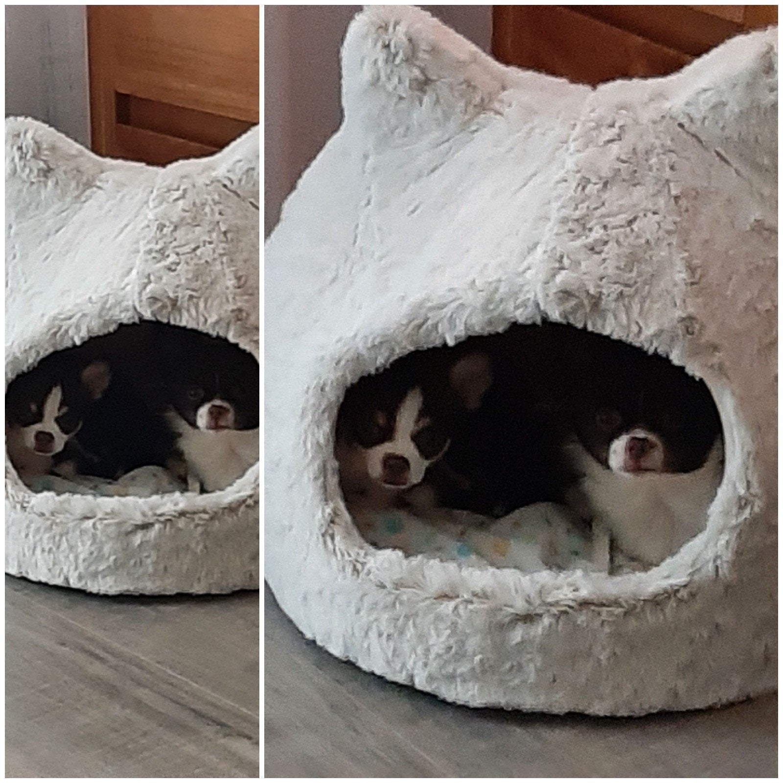 mooi fijn mandje voor u Hond/kat., Ophalen, Zo goed als nieuw, Pluche