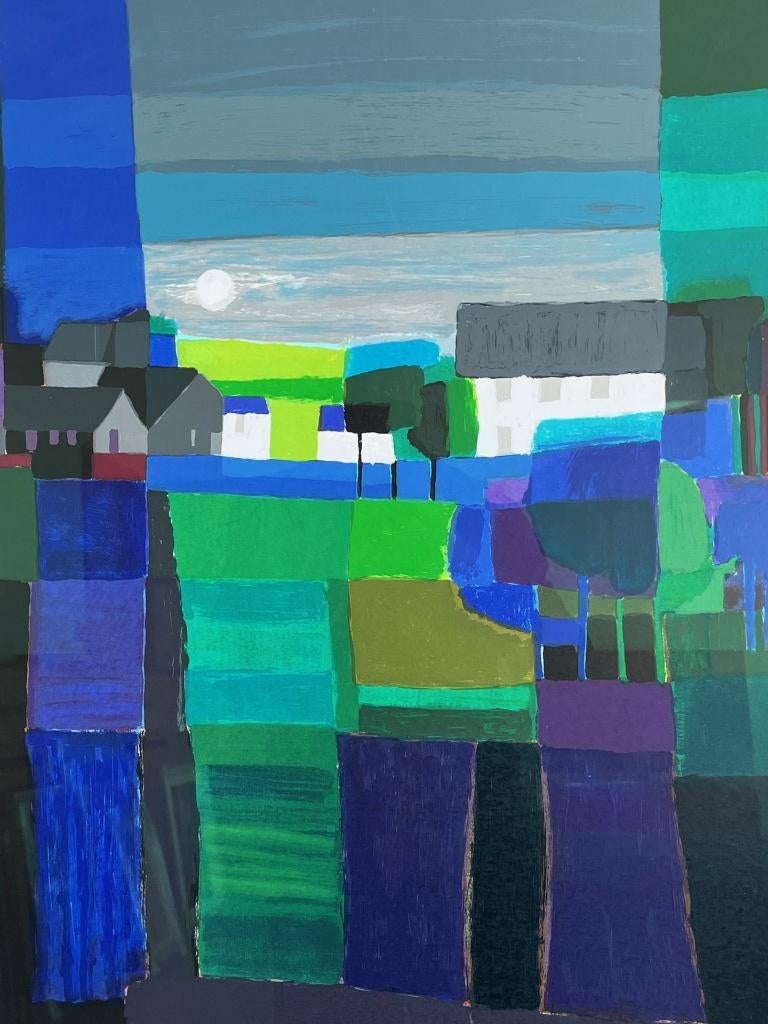Ton Schulten, Noorderlicht, Antiek en Kunst, Kunst | Litho's en Zeefdrukken, Ophalen