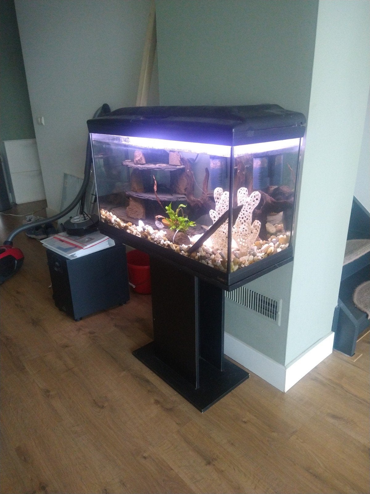 Aquarium 80*35*45 120L, Ophalen, Inclusief toebehoren, Gebruikt, Leeg aquarium