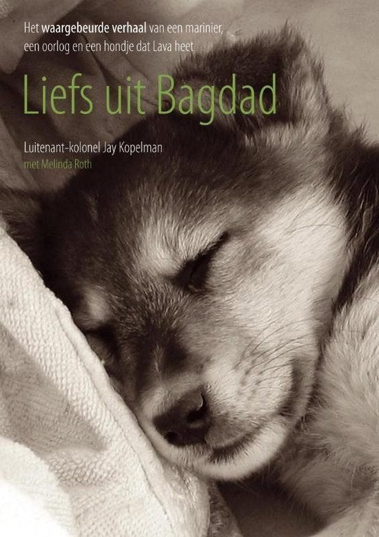 Liefs Uit Bagdad - Jay Kopelman BOEK 9789047500162, Ophalen of Verzenden, Zo goed als nieuw, Jay Kopelman