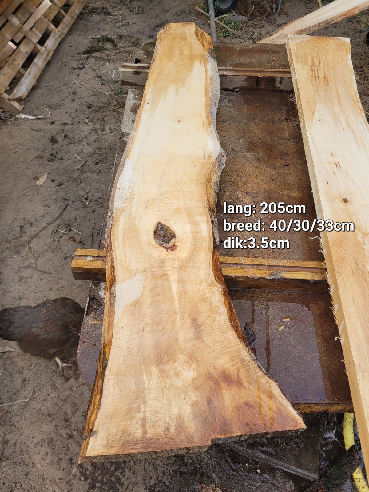 schaaldeel boomplank wandplank vensterbank ESSENHOUT, Ophalen of Verzenden, Nieuw, 180 tot 250 cm, Planken
