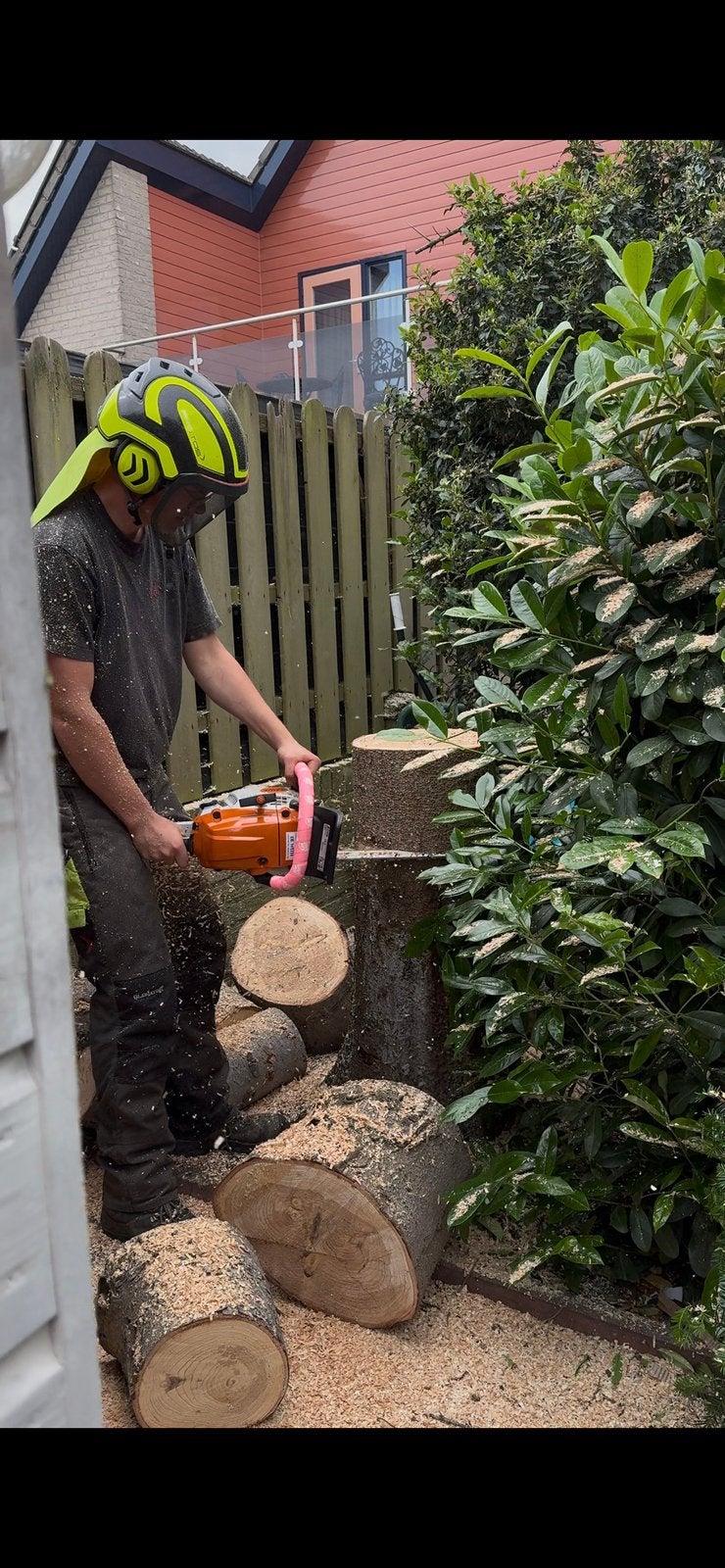 Bomen (klimmend) verwijderen, Ophalen, Volle zon, Overige soorten